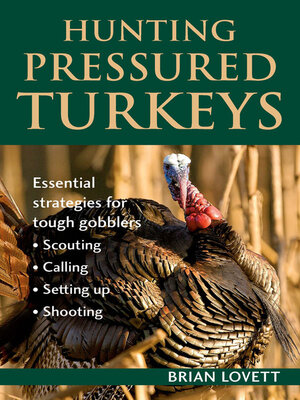 cover image of Hunting Pressured Turkeys